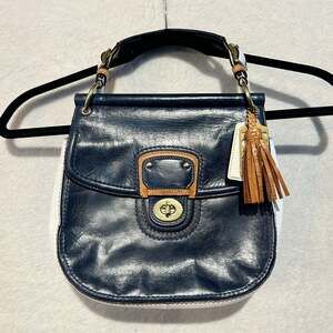 Coach Legacy Colorblock Willis 70th Anniversary Limited Edition Crossbody Bag 19